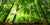 Eco-Friendly Wristbands: Sustainable Options for Green Events