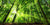 Eco-Friendly Wristbands: Sustainable Options for Green Events