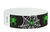Green Spiders