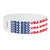 USA 250 Celebration