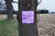 Purple Sign
