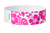Pink Flowers