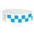 Blue Checkered