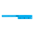Neon Blue