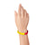 Red / Blue / Yellow Segmented