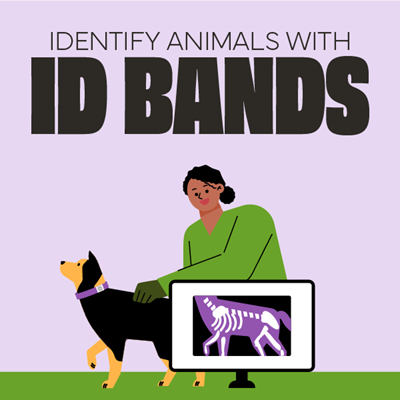 animal id bands