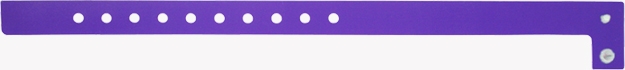 Purple Plastic Wristband